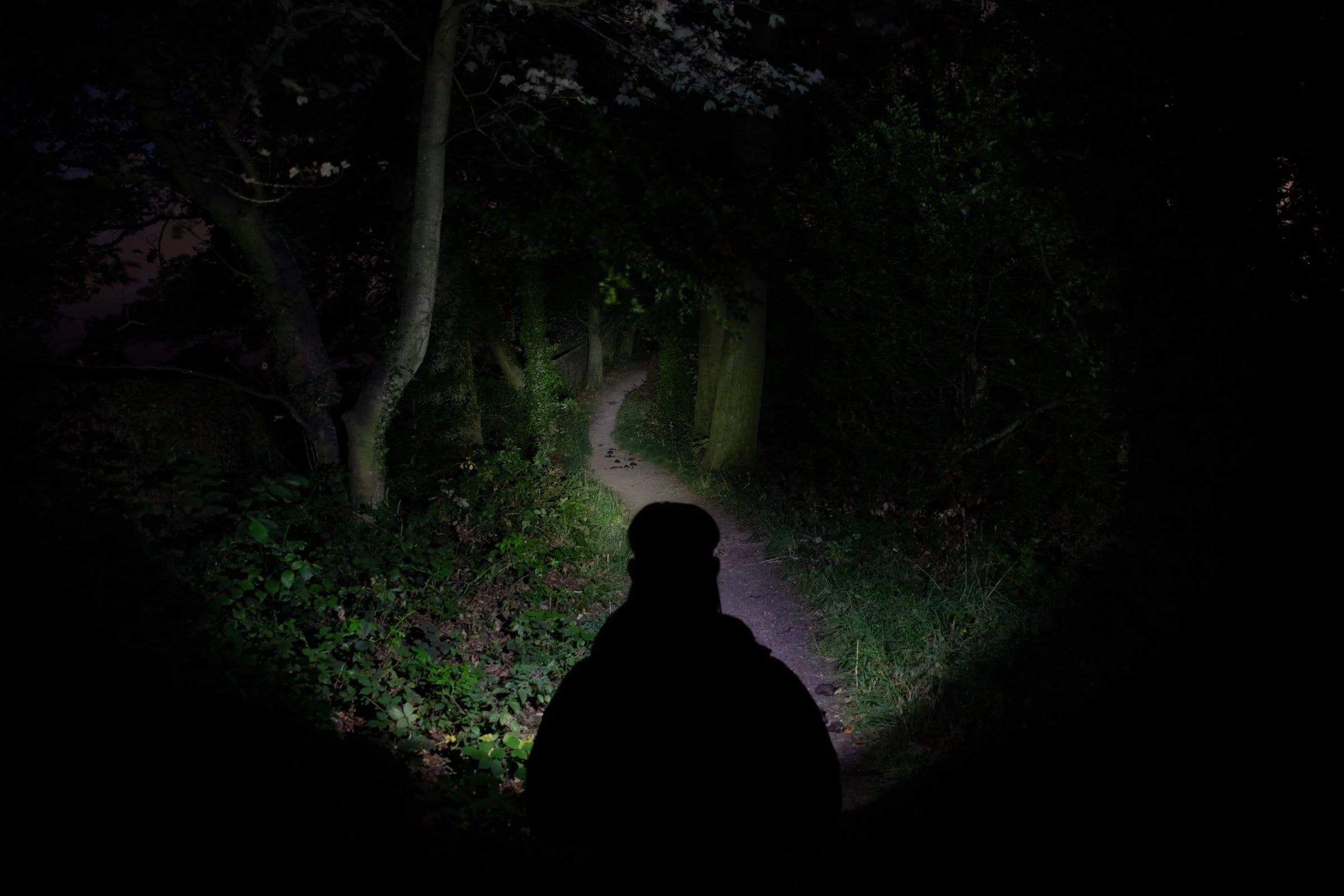 Prism - Image 5